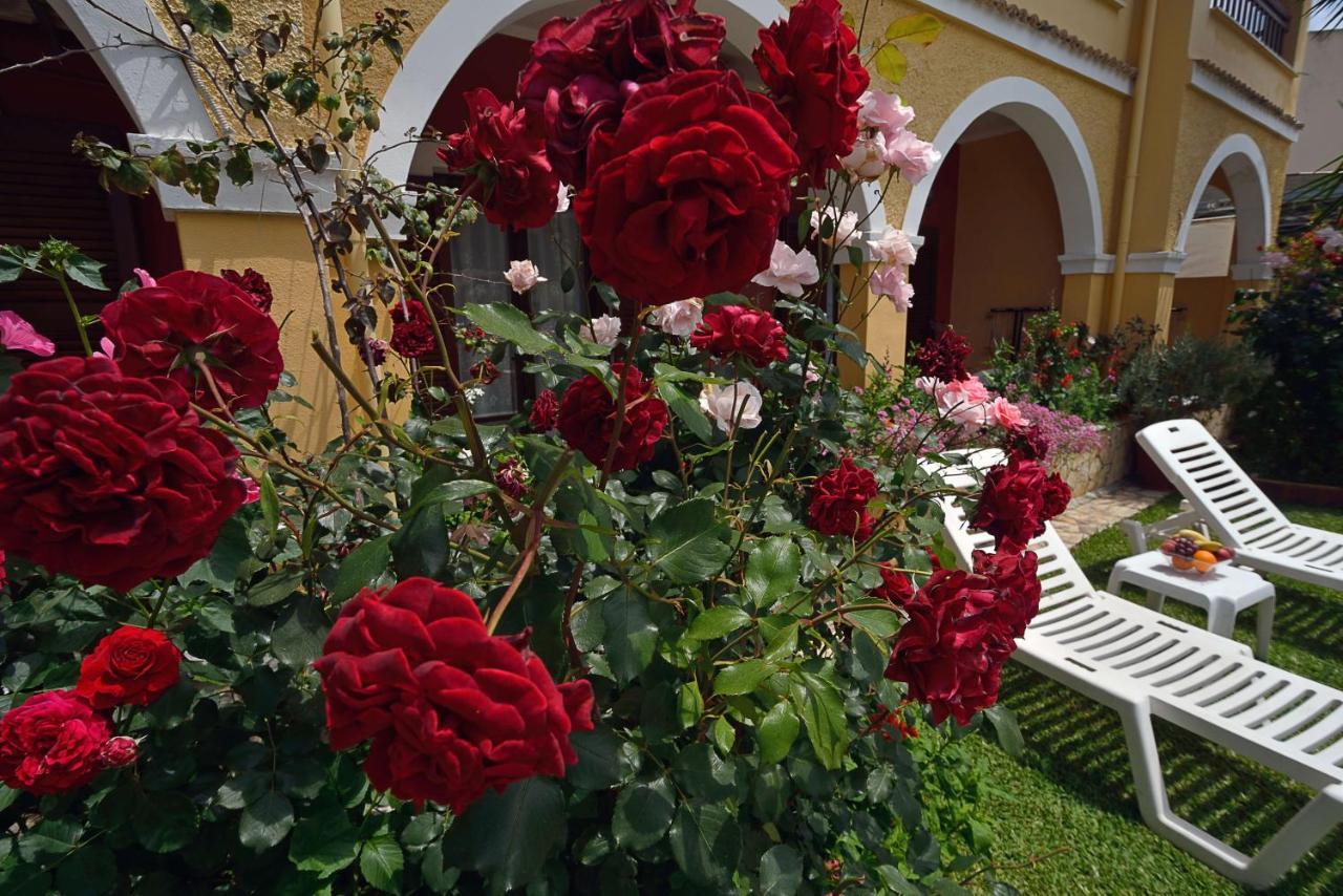 Eleni * Roda (Corfu)